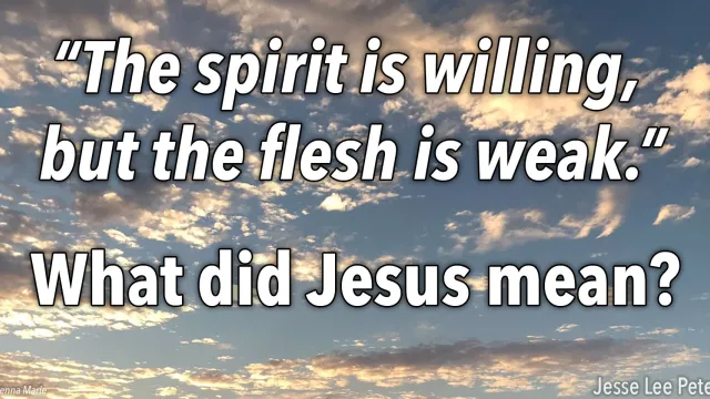 Biblical Question: "The Spirit is willing but the flesh is weak"