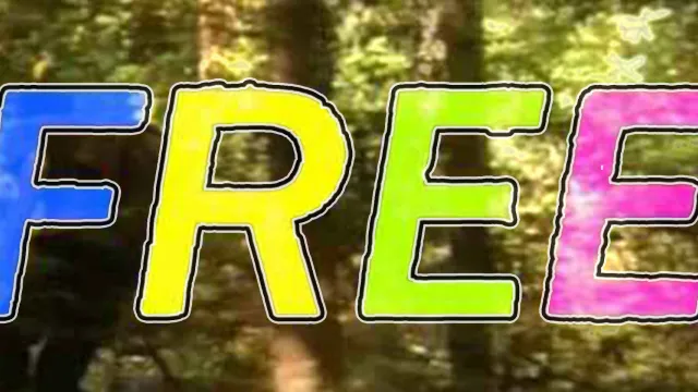 In order to be free, you must forgive (Women's Forum)