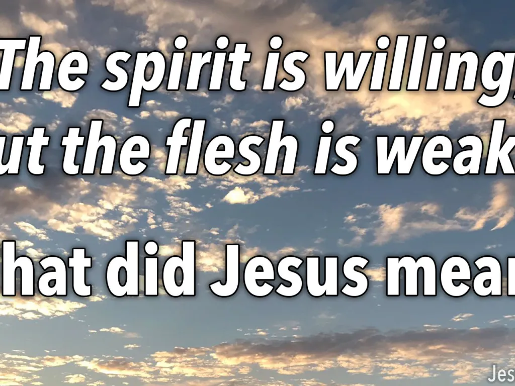 Biblical Question: "The Spirit is willing but the flesh is weak"