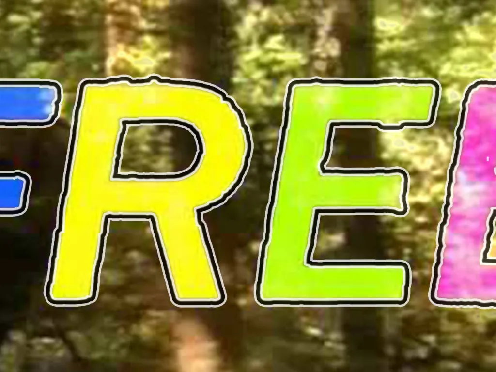 In order to be free, you must forgive (Women's Forum)